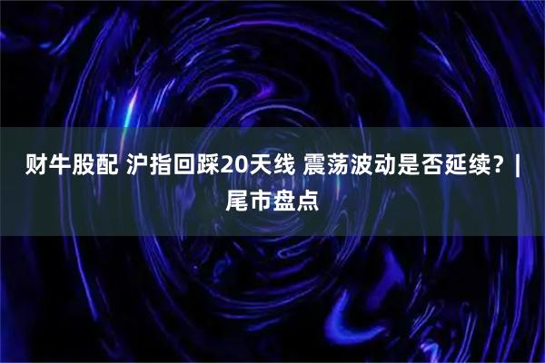 财牛股配 沪指回踩20天线 震荡波动是否延续？|尾市盘点