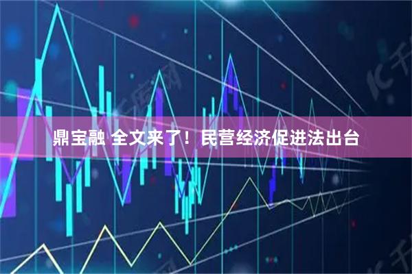 鼎宝融 全文来了！民营经济促进法出台