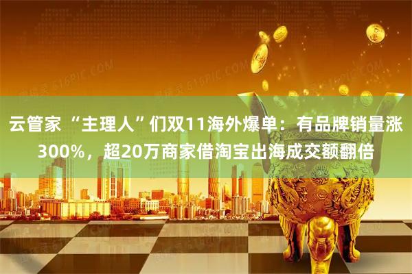 云管家 “主理人”们双11海外爆单:有品牌销量涨300%,超20万商家借淘宝出海成交额翻倍